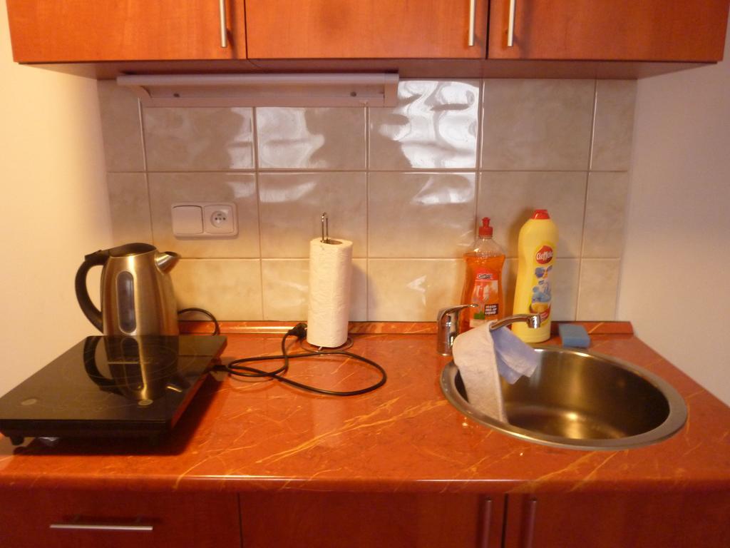Apartment Karlovy Vary Ruang foto