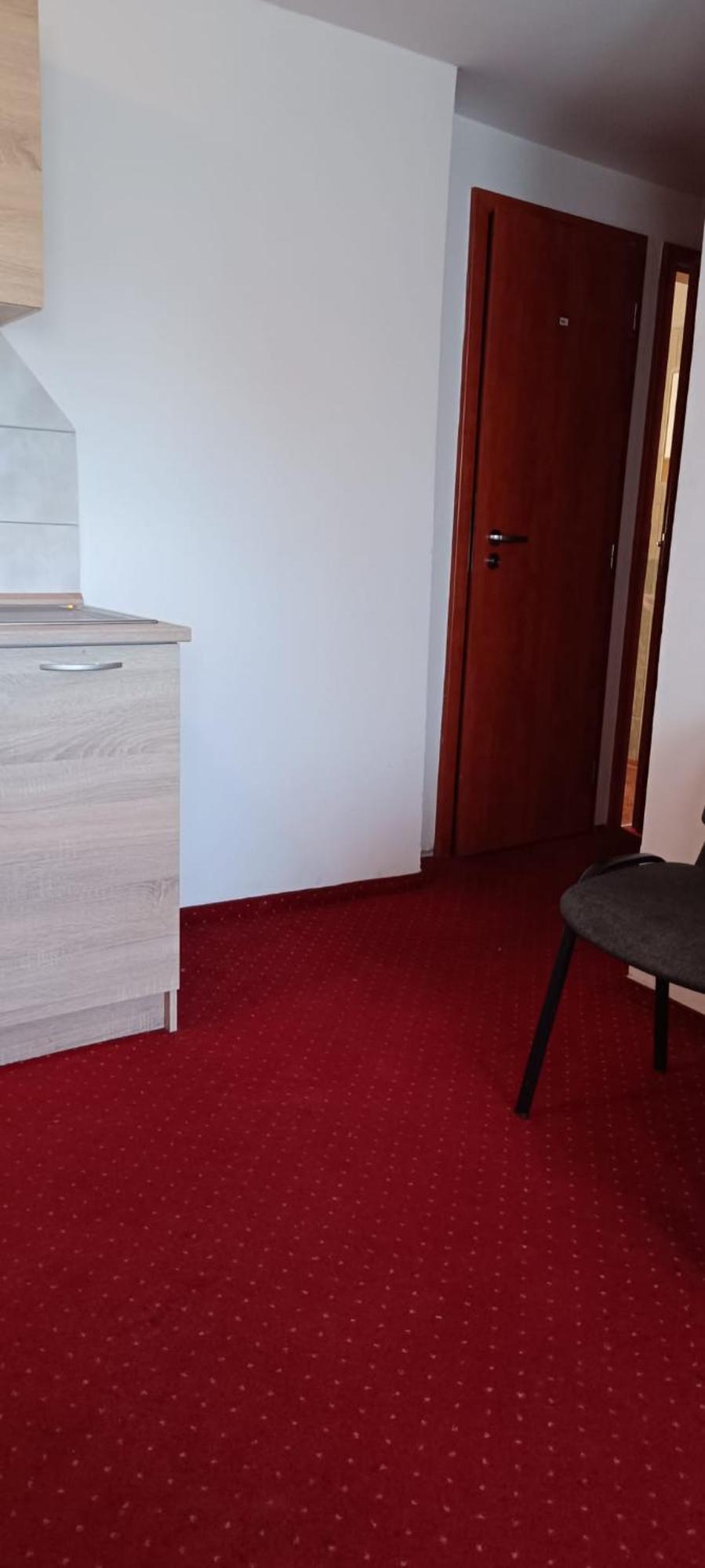 Apartment Karlovy Vary Bagian luar foto